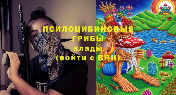крисы Абинск