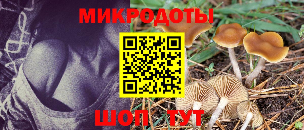 Псилоцибиновые грибы ЛСД Канск
