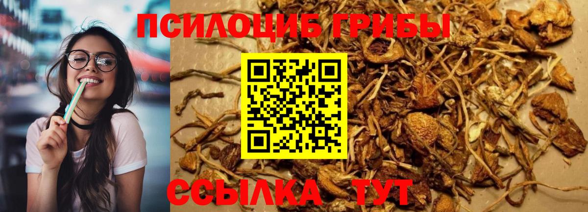 Канск  Псилоцибиновые грибы GOLDEN TEACHER  Вход с VPN 